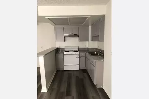 2928 Leeward Ave #301, Los Angeles, CA 90005