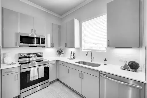 4770 Luxe Ln #1004A, Denton, TX 76207