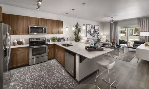 8340 E Baseline Rd #1106, Mesa, AZ 85209 photo 6