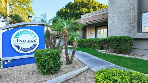 65 E Olive Ave #256, Gilbert, AZ 85234 photo 19