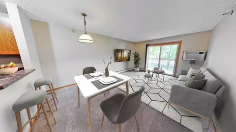 920 Feltl Ct #1-132, Hopkins, MN 55343