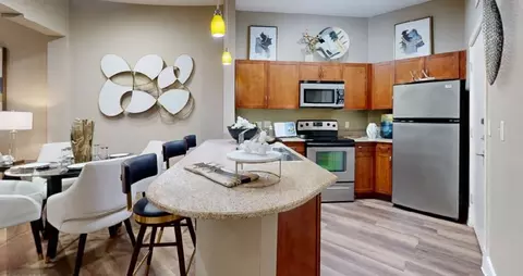 1001 Lake Carolyn Pkwy #316, Irving, TX 75039