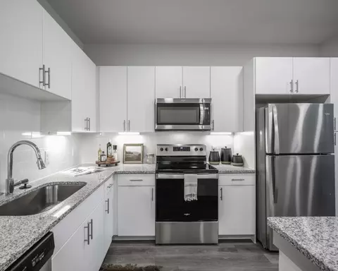 13958 Cottingham St #1103, Houston, TX 77048