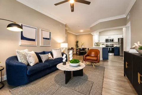 2828 Hayes Rd #2424, Houston, TX 77082