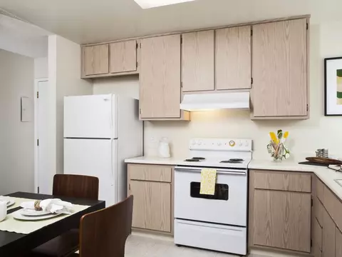 265 Gateway Dr #300-147, Pacifica, CA 94044