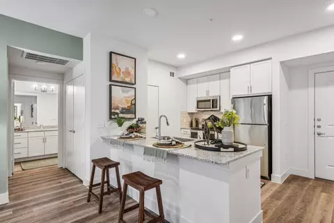 300 N Mcdonald St #1472, Mckinney, TX 75069