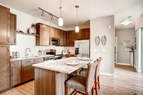 9580 Ridgegate Pkwy #2514, Lone Tree, CO 80124