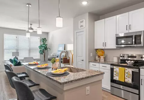 509 Nursery Rd #1401, Spring, TX 77380