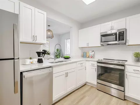 15501 Bruce B Downs Blvd #0315, Tampa, FL 33647