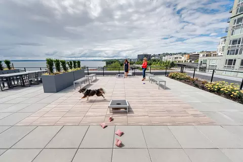10 Clay St #302, Seattle, WA 98121