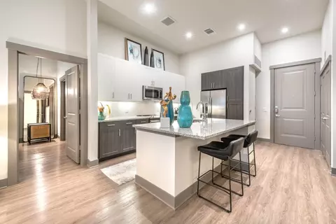 2650 S Mcdonald St #1132, Mckinney, TX 75069