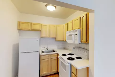 5220 S Drexel Ave #212, Chicago, IL 60615