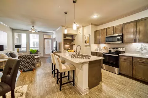 2308 Bingle Rd #3333, Houston, TX 77055