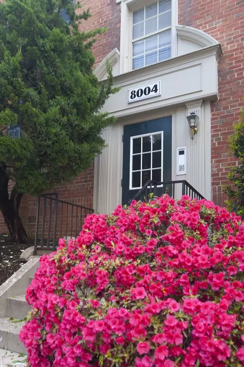8000 Eastern Dr #8001D102, Silver Spring, MD 20910 photo 17