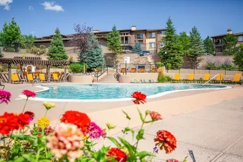 339 E Allen St #0328, Castle Rock, CO 80108