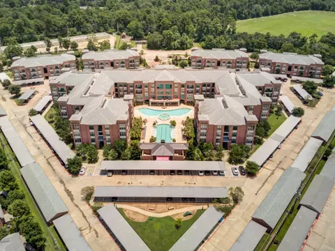 15255 Vintage Preserve Pkwy #1320, Houston, TX 77070