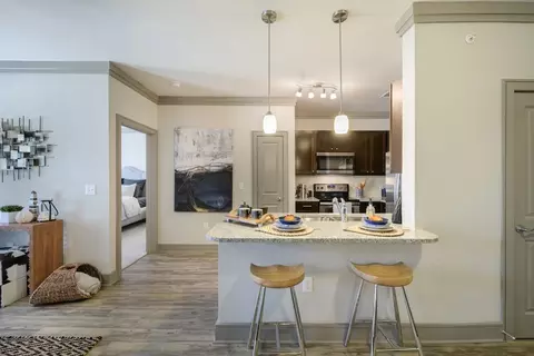 21145 Spring Plaza Dr #2410, Spring, TX 77388