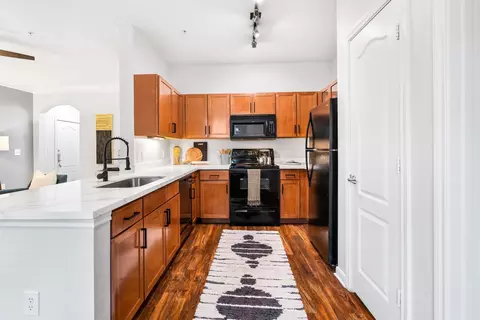 6900 Lake Woodlands Dr #1015, The Woodlands, TX 77382