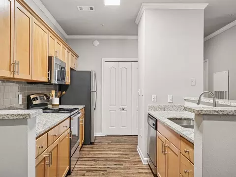705 Bray Central Dr #005-5208, Allen, TX 75013