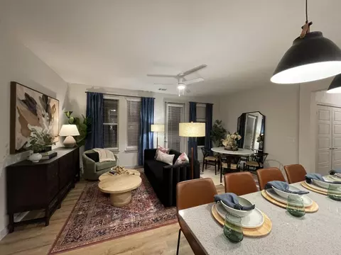 149 Larkspur Park Blvd #8205, Leander, TX 78641