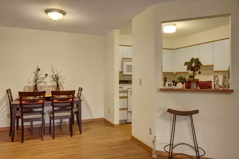 3475 Golfview Dr #1104, Eagan, MN 55123 photo 4