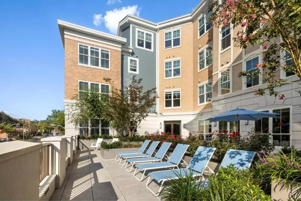  100 Village Sq #245, Glen Cove, NY 11542 photo 31