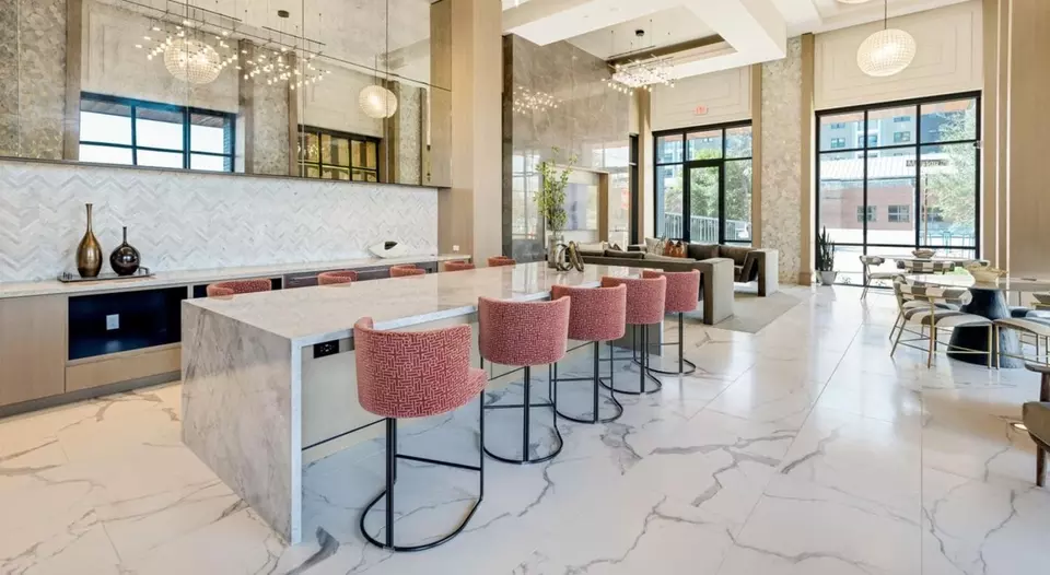  707 Marston St #2501, Houston, TX 77019 photo 6
