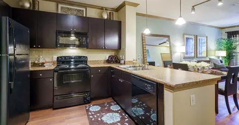 14723 T C Jester Blvd #0435, Houston, TX 77068