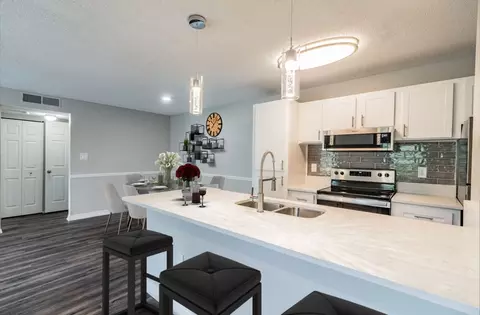 529 S Parsons Ave #1515, Brandon, FL 33511
