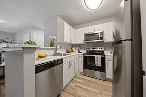 256 E Corporate Dr #2410, Lewisville, TX 75067