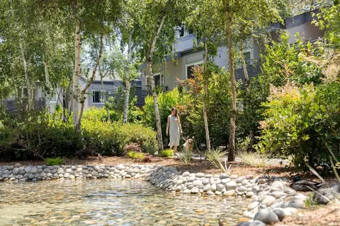 235 Bernardo Ave #0401, Mountain View, CA 94043 photo 13