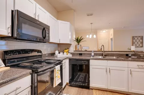 1620 Bartram Rd #1310, Jacksonville, FL 32207