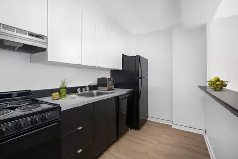 350 W Oakdale Ave #508, Chicago, IL 60657
