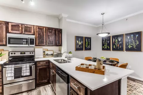 9801 W Parmer Ln #2522, Austin, TX 78717