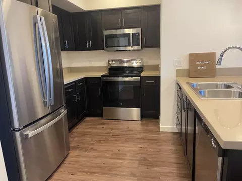1251 Merry Loop #264, Milpitas, CA 95035 photo 18