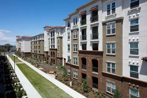 1251 Merry Loop #264, Milpitas, CA 95035 photo 39