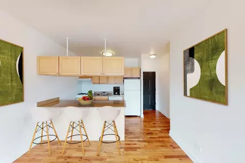 1120-1126 E 47th St #L6, Chicago, IL 60653