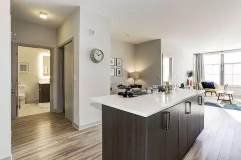 255 N Washington St #530, Rockville, MD 20850