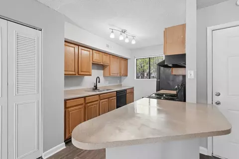 1701 E Cornwallis Rd #05E, Durham, NC 27713 photo 16