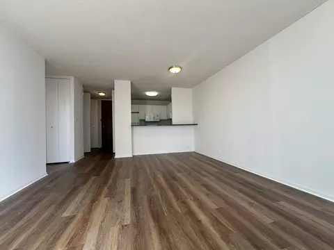 65 E Scott St #6506M, Chicago, IL 60610 photo 20