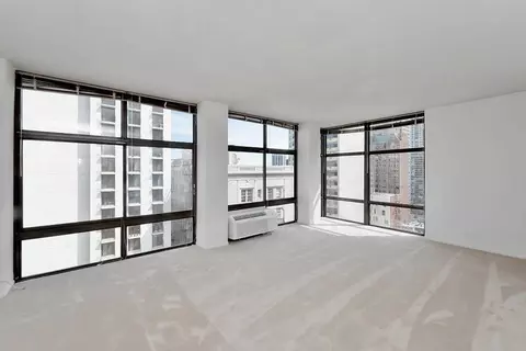 65 E Scott St #6506M, Chicago, IL 60610 photo 33