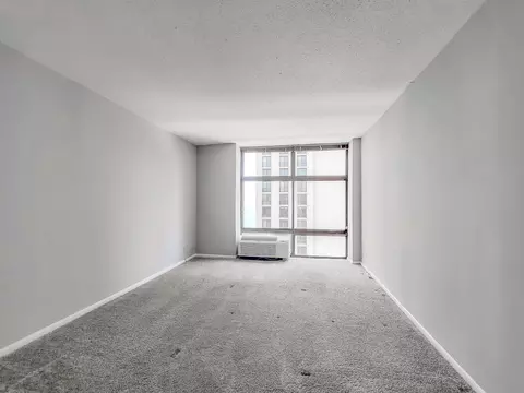 65 E Scott St #6506M, Chicago, IL 60610 photo 27
