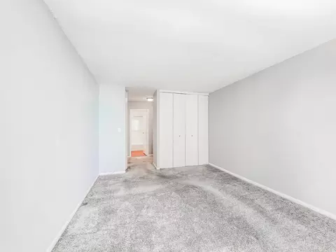 65 E Scott St #6506M, Chicago, IL 60610 photo 26