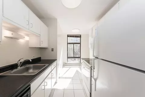 65 E Scott St #6506M, Chicago, IL 60610 photo 16