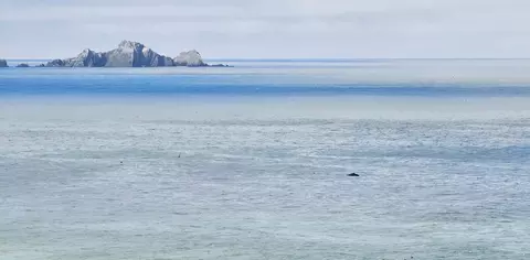 100 Esplanade Ave #087, Pacifica, CA 94044 photo 39