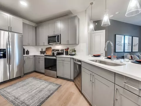 8001 N Stemmons Fwy #1209, Dallas, TX 75247