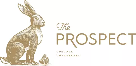 1115 S Mint St #545, Charlotte, NC 28203