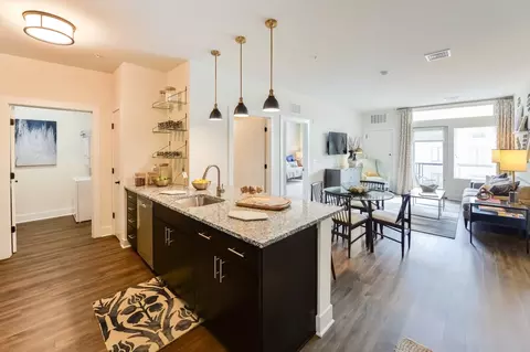 45 N Main St #5309, Phoenixville, PA 19460