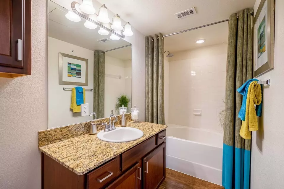  980 S Coit Rd #1316, Prosper, TX 75078 photo 5