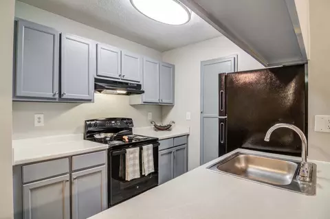 1470 Boggs Rd #1207, Duluth, GA 30096